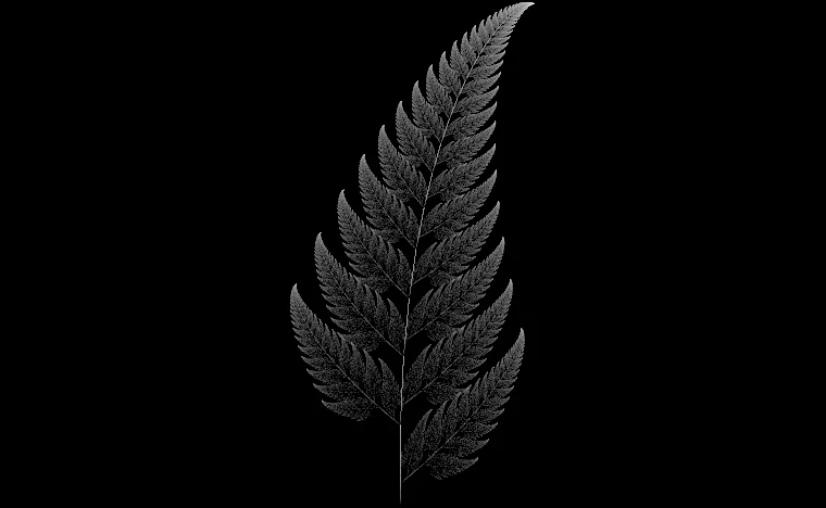 Barnsley Fern