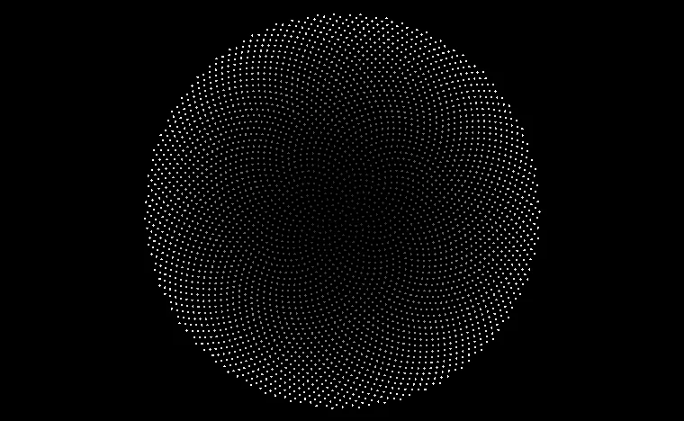 Phyllotaxis