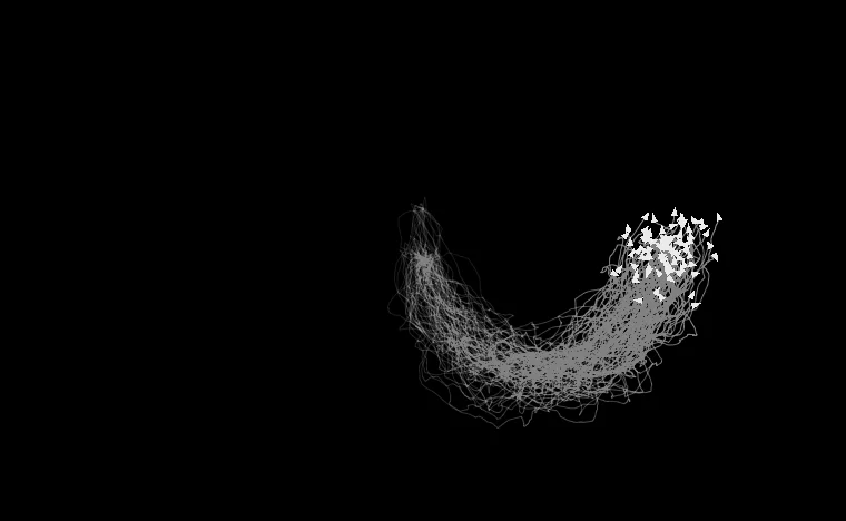 Swarm